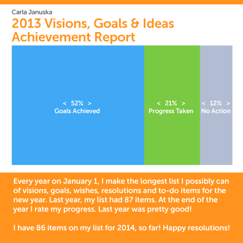 2013 resolutions report