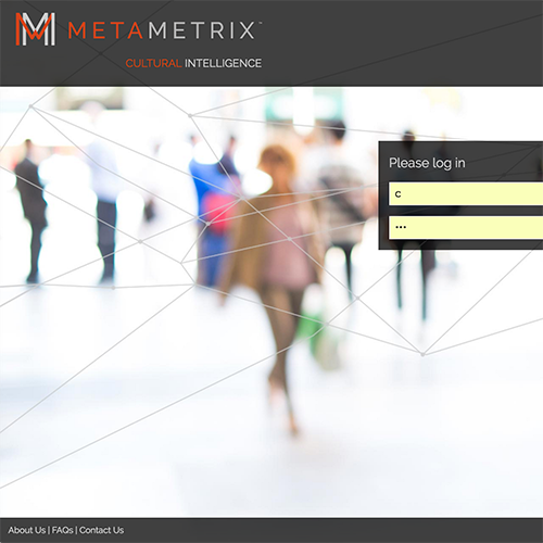 UX and Data Visualization for Metametrix
